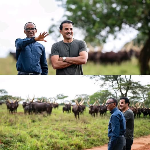 Emir of Qatar Visits Rwanda to Strengthen Bilateral Ties